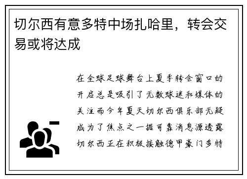 切尔西有意多特中场扎哈里，转会交易或将达成