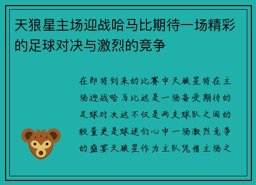 天狼星主场迎战哈马比期待一场精彩的足球对决与激烈的竞争