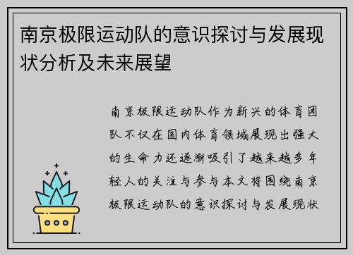 南京极限运动队的意识探讨与发展现状分析及未来展望
