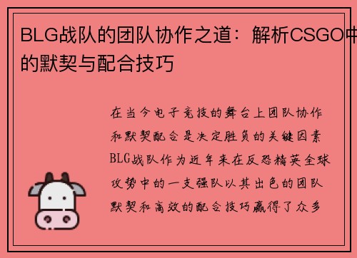 BLG战队的团队协作之道：解析CSGO中的默契与配合技巧